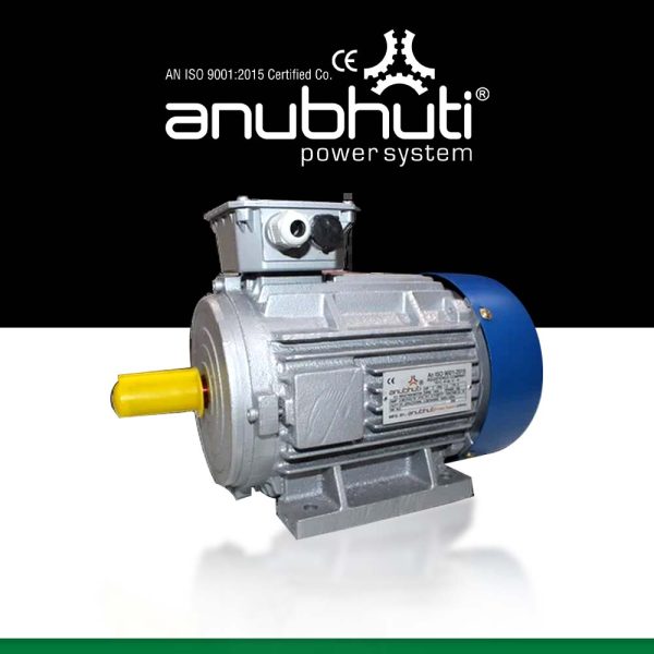 Slip Ring Induction Motor (2)