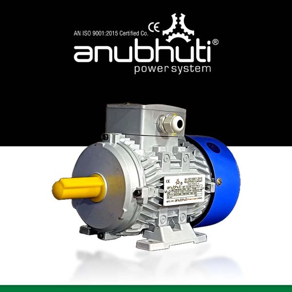 Squirrel Cage Induction Motor (1)